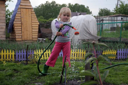 Правила полива огорода в жару напомнили эксперты в Новосибирске