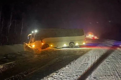 На трассе под Новосибирском столкнулись автобус и грузовик: четверо пострадавших