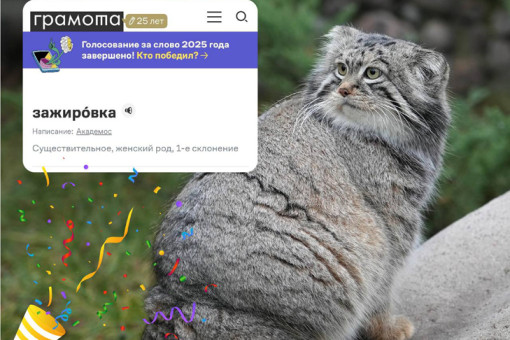 Кот из Новосибирска ввел новое слово в современный русский язык