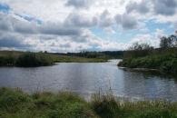 Новосибирские бизнесмены подали 15 заявок на аренду водоемов под рыбоводство