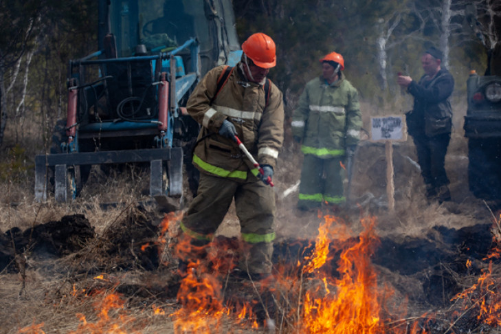 Названы районы с наибольшим количеством пожаров в Новосибирской области