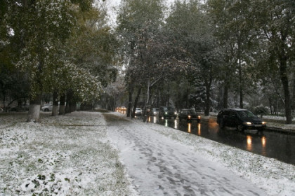 Восьмибалльные пробки принес в Новосибирск первый снег