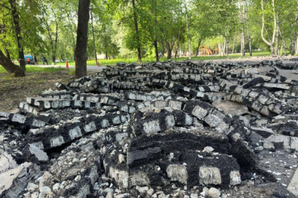 Под Новосибирском деревня оказалась в эпицентре землетрясения