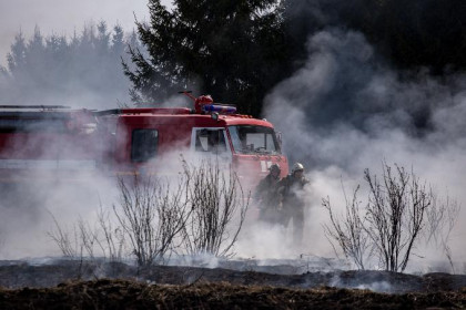 Лесные пожары в Сузуне: подозревают злоумышленников 