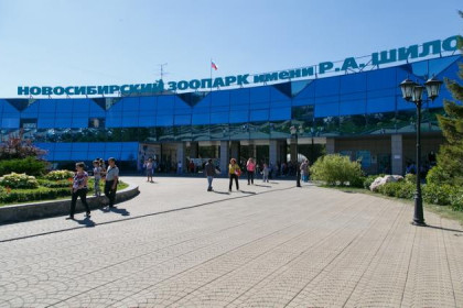 История Новосибирского зоопарка: пять переездов