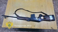 Браконьер застрелил двух беременных лосих в Новосибирской области