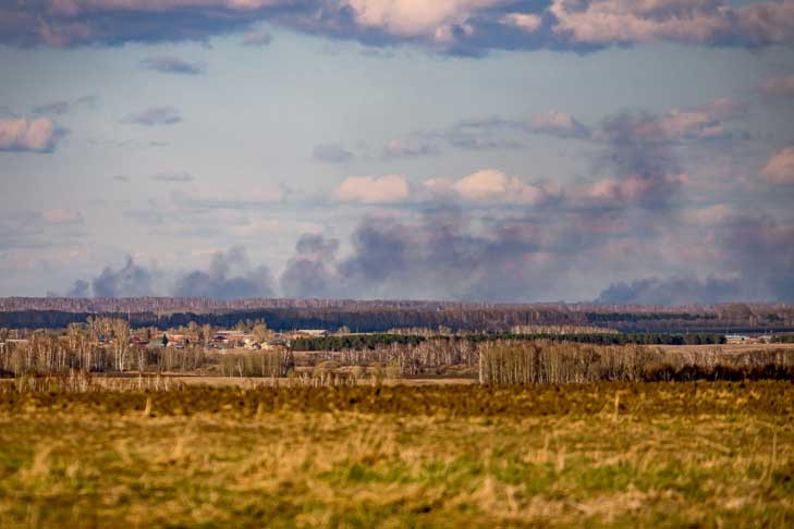 Противопожарный режим-2023 объявлен в Новосибирской области с 17 апреля