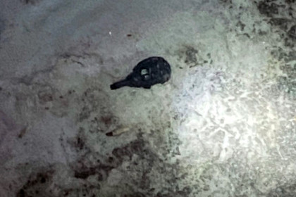 В Новосибирске медсестра выбросила гранату в окно больницы