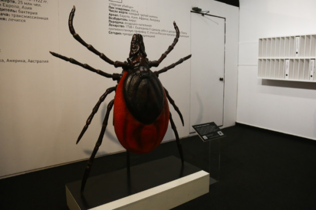 Самых смертоносных клещей в мире показали в Новосибирске