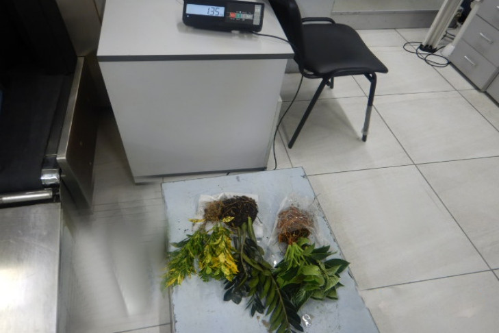 Горшки с цветами забрали у пассажирки из Ферганы таможенники в Новосибирске