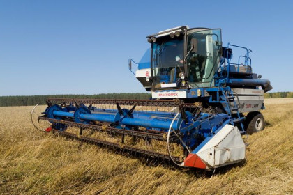Богатый урожай зерна убирают в Кочковском районе