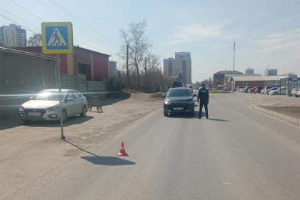 Школьника сбила «Хонда» на пешеходном переходе в Новосибирске