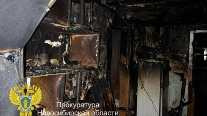 Жительнице Новосибирской области вынесли приговор за гибель детей на пожаре