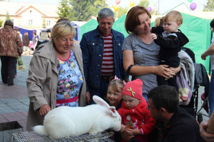 Крольчиху весом 9 килограммов показали на ярмарке в Черепаново