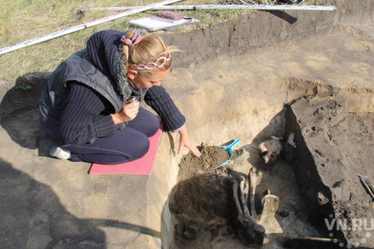 Древний клад обнаружили археологи в Венгеровском районе