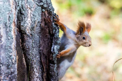 Прогноз погоды на первую декаду апреля-2026 в Новосибирске сделали синоптики