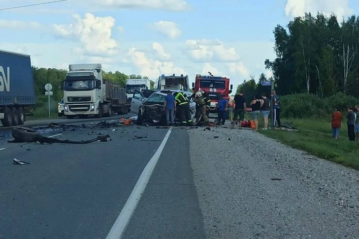Пенсионер погиб в ДТП с фурой на трассе в Новосибирской области