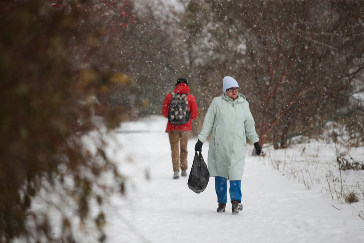 Слякотно и снежно: Новосибирск засыплет снегом при температуре +3 градуса