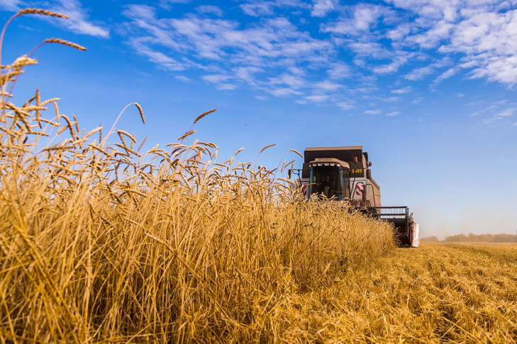 Губернатор Травников: Роста цен на зерно мы не прогнозируем