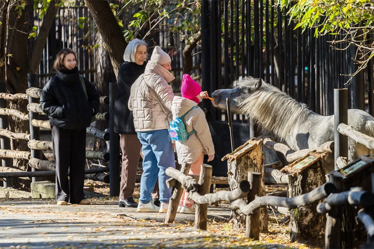 Пенсионеры и инвалиды Новосибирска смогут бесплатно посетить зоопарк в октябре