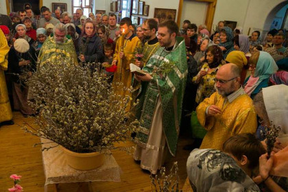 Главные правила Вербного воскресенья-2026: как хранить и зачем освящать вербу