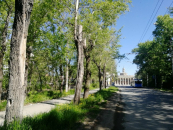 В сквере имени Артемьева в Новосибирске ограничили работу музыкальной площадки 