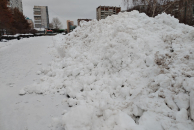 Подрядчики заплатят за поломанные деревья и кустарники в Новосибирске