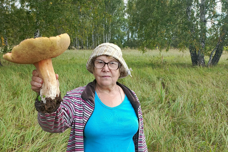 Огромный царь-гриб размером с зонтик найден под Новосибирском