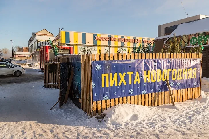 До 9 тысяч рублей: названы цены на елочных базарах Новосибирска