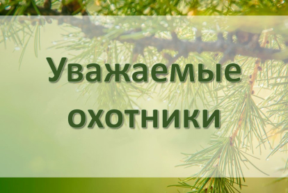 Внесены изменения сроков охоты в Новосибирской области
