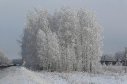 «Пойдем на похолодание»: ученый рассказал, как изменится климат в Сибири