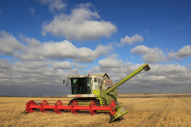 В Новосибирской области уже намолотили первый миллион тонн зерна урожая 2019 года