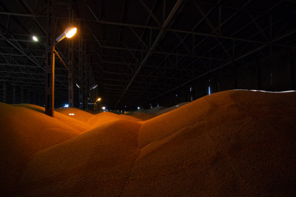 Регион наращивает экспорт зерна нового урожая
