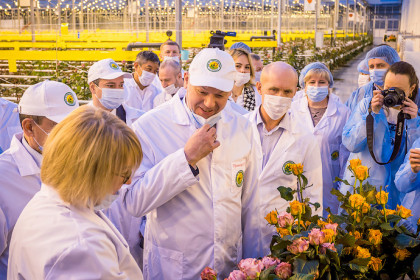 Огурцы меняют на розы: в селе Толмачево под Новосибирском вдвое расширили цветочное производство