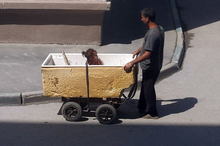 Облаву на захвативших дома цыган устроили силовики Новосибирска