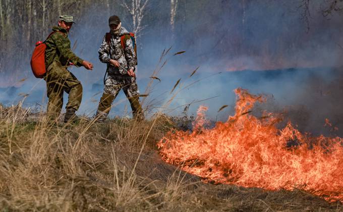 Борьбу с лесными пожарами оценил губернатор Андрей Травников 
