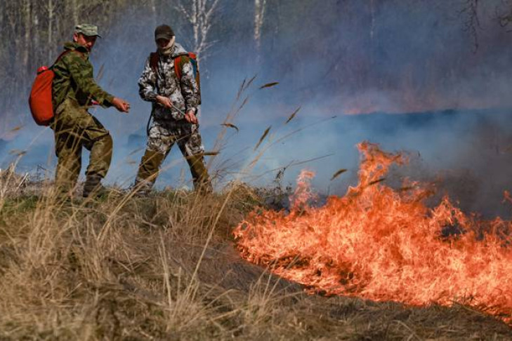 Борьбу с лесными пожарами оценил губернатор Андрей Травников 