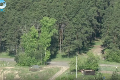 «Заповедный лес» с конгресс-центром планируют в Заельцовском парке