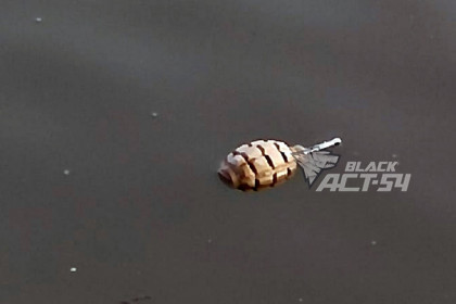 Похожий на гранату предмет заметили новосибирцы в реке Обь