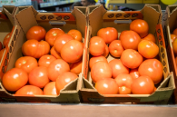 Партия узбекских томатов на 18 тонн не прошла фитосанитарный контроль в Новосибирской области