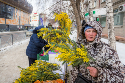 Мороз до -17 градусов: погода на 8 Марта в Новосибирске