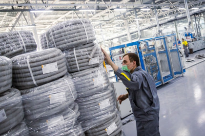 Почти 5 тыс малых предприятий появились в Новосибирской области с начала года