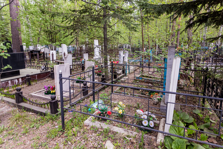 Плюшевый медведь исчез с могилы девушки под Новосибирском