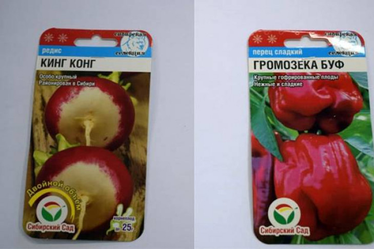 Как выбрать семена: «Громозеку» и «Кинг Конга» изучили эксперты 