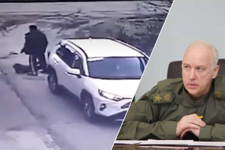 Бастрыкин взял под личный контроль следствие по делу депутата Мамонтова