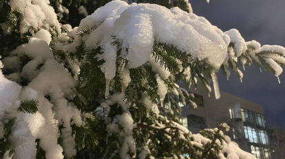 В Новосибирске похолодает до -13 градусов 26 декабря