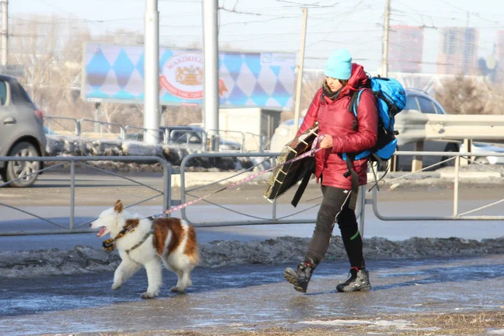 Похолодание до -6 градусов ждут синоптики в Новосибирске