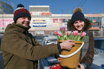 «100 тысяч за один день»: как навариваются на тюльпанах к 8 Марта