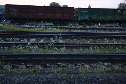 16 человек погибли на железной дороге в Новосибирской области с начала 2023 года