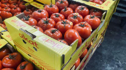 Опасные фрукты и овощи попытались завезти в Новосибирск: что не так с продуктами